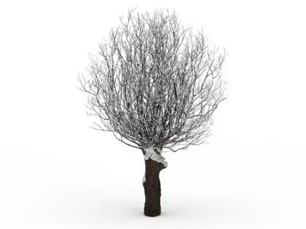 Winter Tree Scene 3d model Winter Tree Scene 3d model