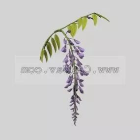 Wistaria Plant 3d model