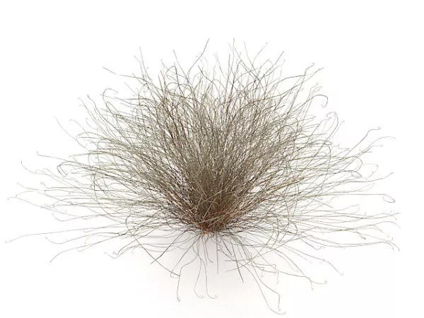 Realistic Yellow Grass Plant 3d model