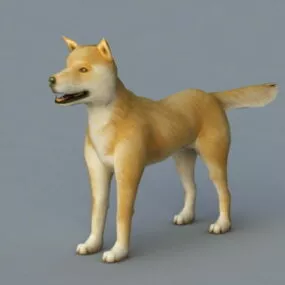 Yellow Dog Rigged 3d model
