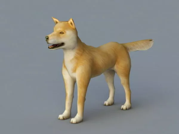 Yellow Dog Rigged 3d model Yellow Dog Rigged 3d model