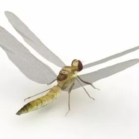 Yellow Dragonfly 3d model