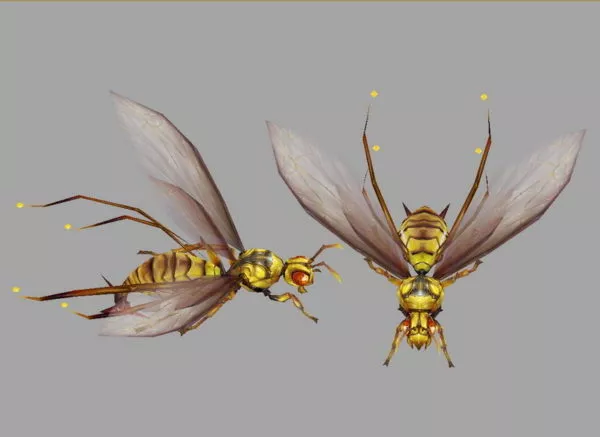 Fly Insect 3d model