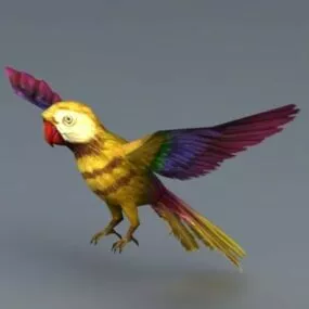 Yellow Parrot Bird 3d model