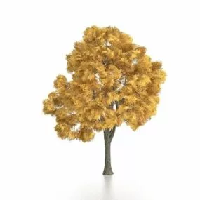 Yellow Autumn Tree 3d model