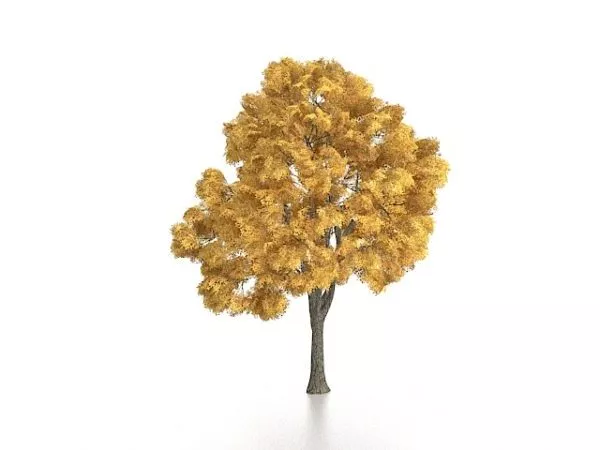 Yellow Autumn Tree 3d model Yellow Autumn Tree 3d model