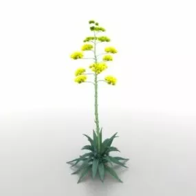 Yellow Flower Plant 3d model