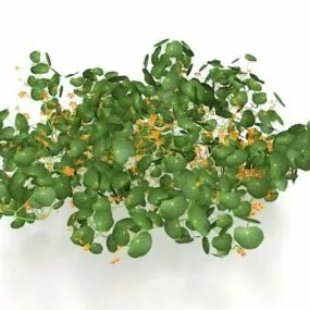 Yellow Flowers Bush 3d model