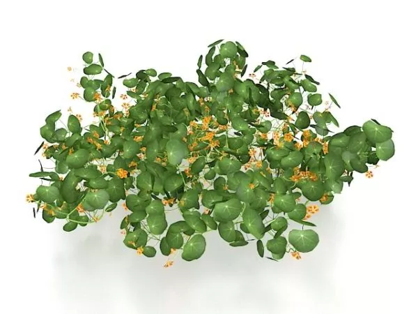 Vertical Bushes Decoration 3d model