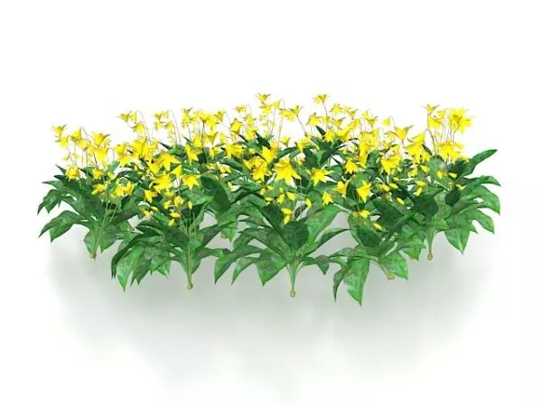 Yellow Flowers Plants 3d model Yellow Flowers Plants 3d model
