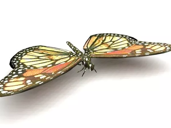 Yellow Monarch Butterfly Animal 3d model Yellow Monarch Butterfly Animal 3d model