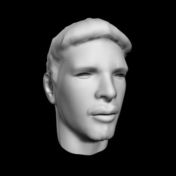 Young Man Head Basic Polygon 3d model Young Man Head Basic Polygon 3d model