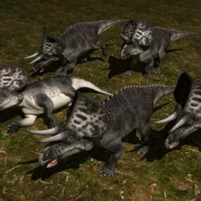 Zuniceratops Dinosaur 3d model