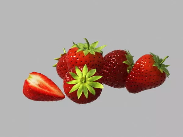 Grapes 3d model