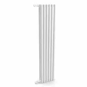 Home Equipment Vertical Column Radiators 3d model