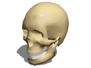 Simple Skeleton 3d model