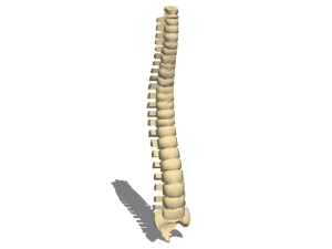Classic Rome Column 3d model