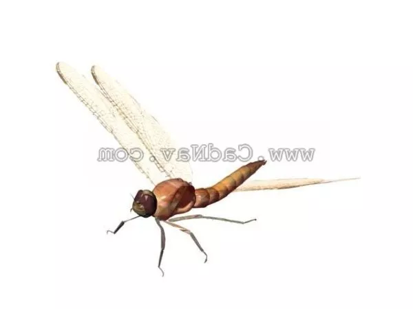 Dragonfly Animal 3d model Dragonfly Animal 3d model