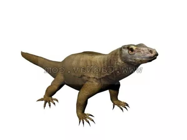 Earth Drake Dragon Creature 3d model