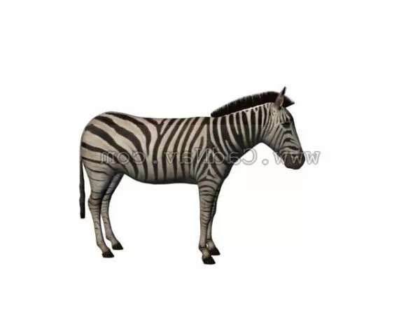 Zebra Rigged 3d model