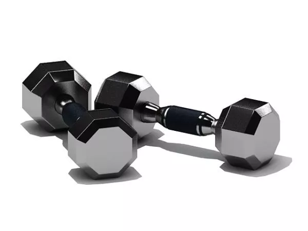 Adjustable Dumbbells For Gymer 3d model