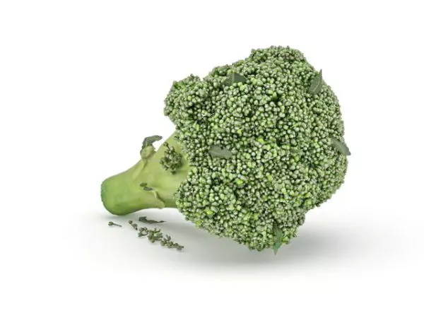 White Radish Carrot 3d model