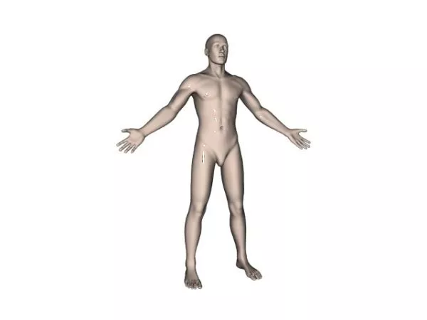 Girl Character Dynamic Clothes 3d model