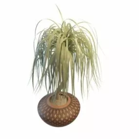 Office Bonsai Tree 3d model