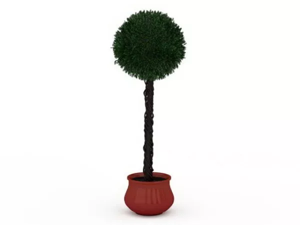 Potted Topiary Plant 3d model Potted Topiary Plant 3d model