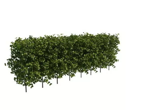 Garden Hedge Set 3d model