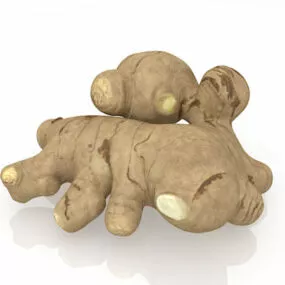 Fresh Ginger 3d model