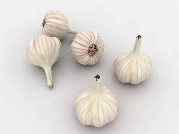 Nature Garlic Bulbs Vegetable 3d model Nature Garlic Bulbs Vegetable 3d model