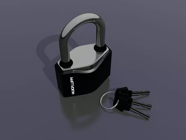 Car Keys With Remote 3d model