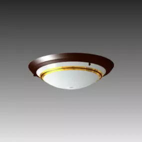 House Flush Mounted Ceiling Lamp 3d model