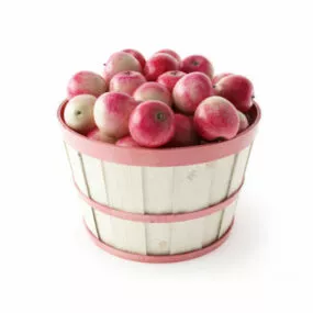 Fruit Red Apples Basket 3d model
