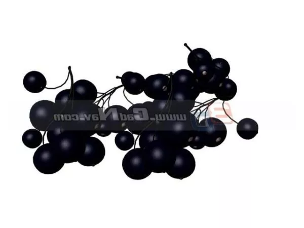 Bunch Of Grapes Fruit 3d model Bunch Of Grapes Fruit 3d model