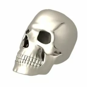 Anatomy A Human Skull 3d model