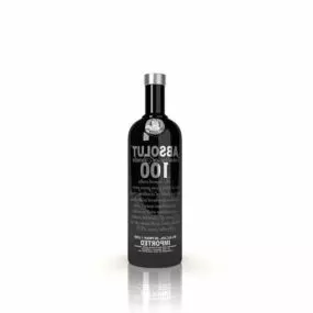 Absolute 100 Vodka Wine Bottle 3d model