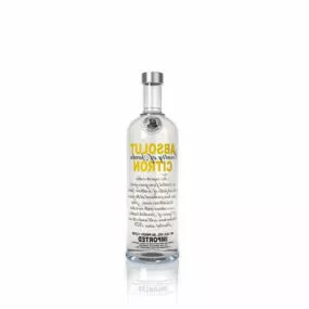 Absolute Vodka Citron Wine Bottle 3d model