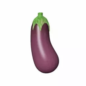 Nature American Eggplant 3d model