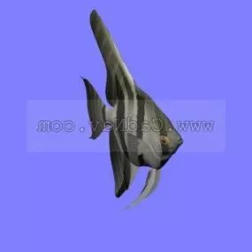 Animal Angel Fish 3d model