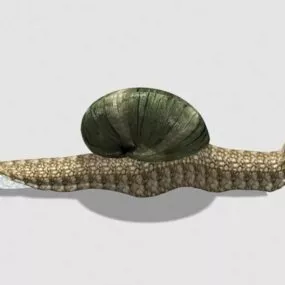 Animated Snail 3d model