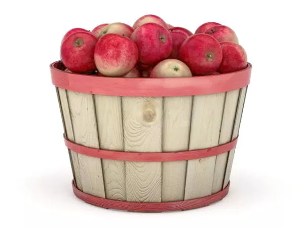 Pirate Barrels Stack 3d model
