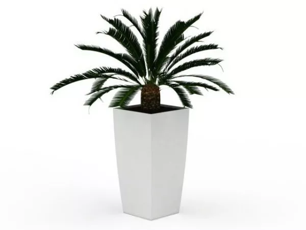 Artificial Palm Tree Plant 3d model Artificial Palm Tree Plant 3d model