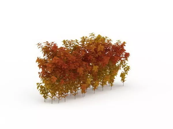Horizontal Hedges 3d model