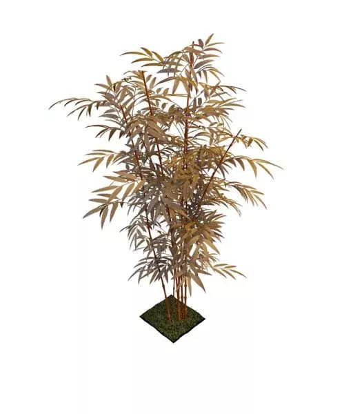 Growing Bamboo Tree 3d model
