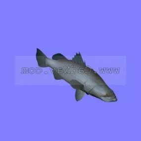 Sea Animal Barramundi Fish 3d model