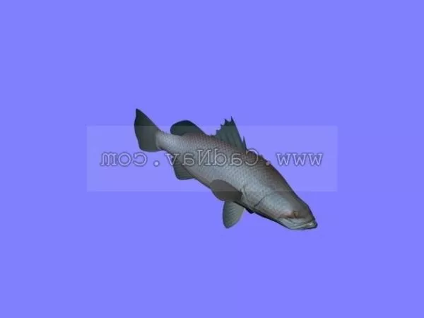 Rockfish Animated Rigged 3d model