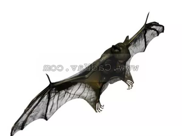 Wild Bat Animal 3d model Wild Bat Animal 3d model