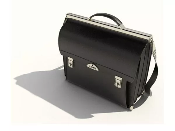 Handbag For Traveling 3d model